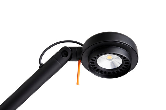 Hay Fifty-Fifty Table Lamp