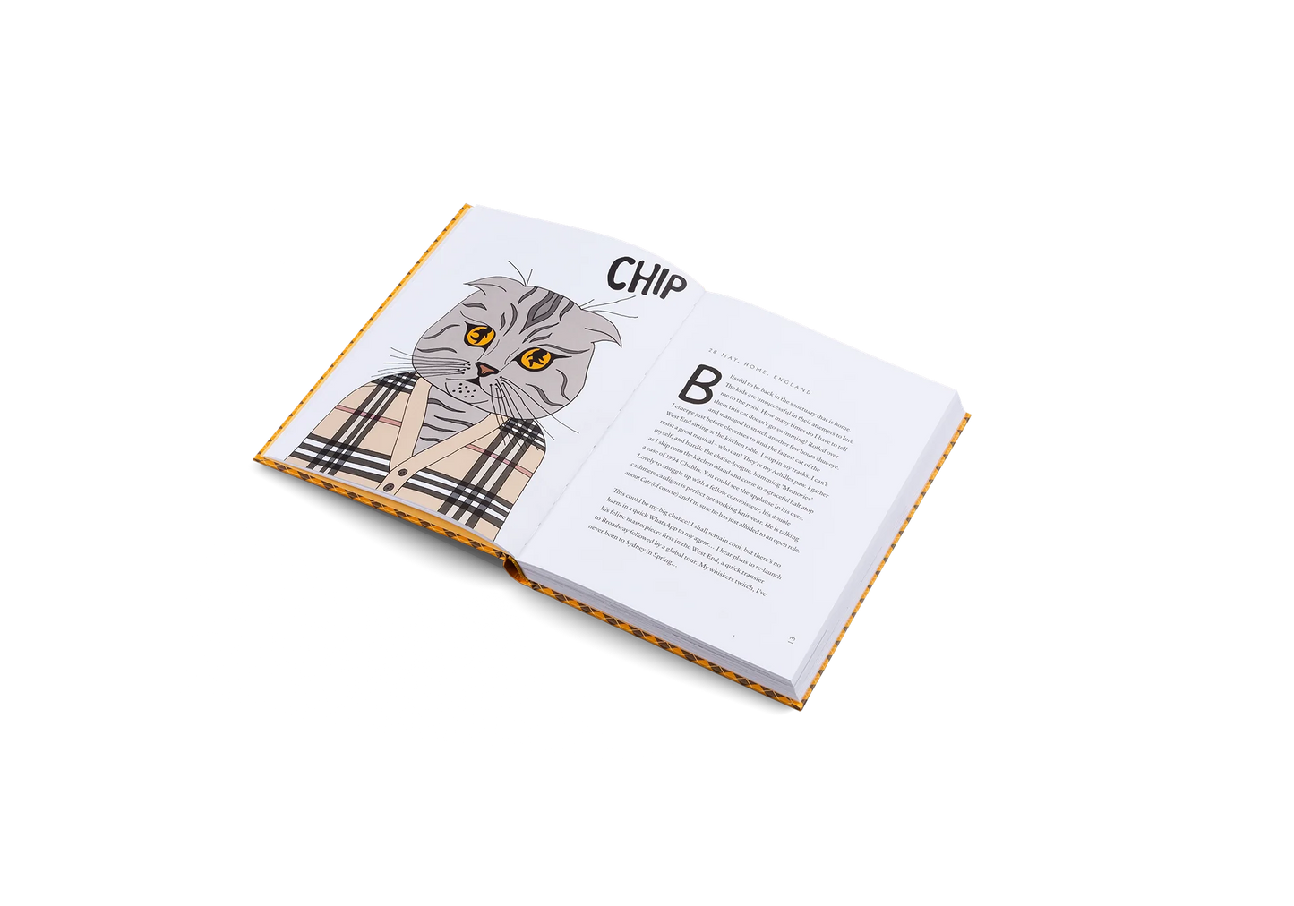 Gestalten Blue Chip Book