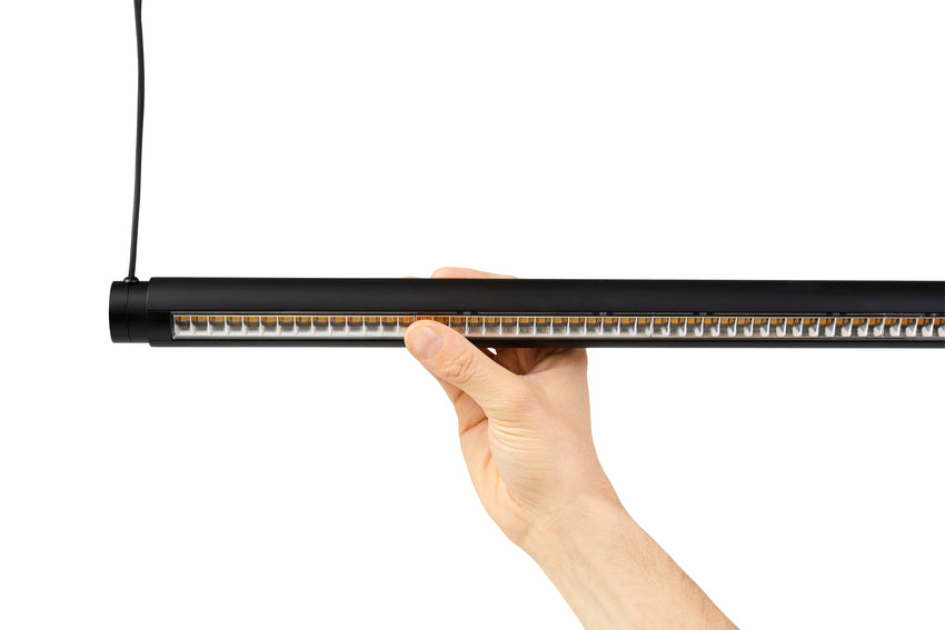 Hay Factor Linear Suspension Lamp