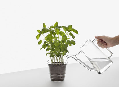 Ichendorf Milano Boboli Watering Can/Jug