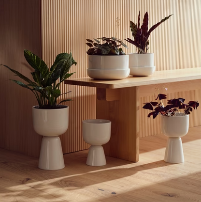 Iittala Nappula Plant Pot