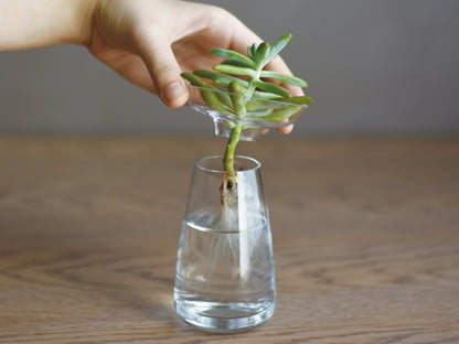 Kinto Aqua Culture Vase
