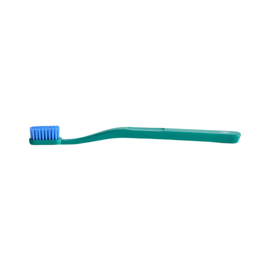 Hay Tann Toothbrush: Pine Green and Blue