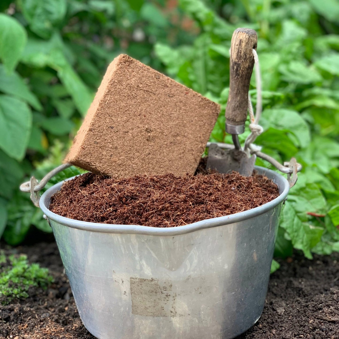 For Peat's Sake Peat-free Compost