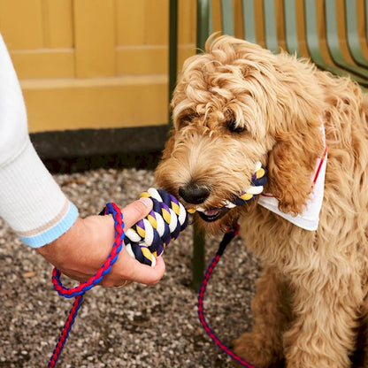 HAY Dogs Rope Toy